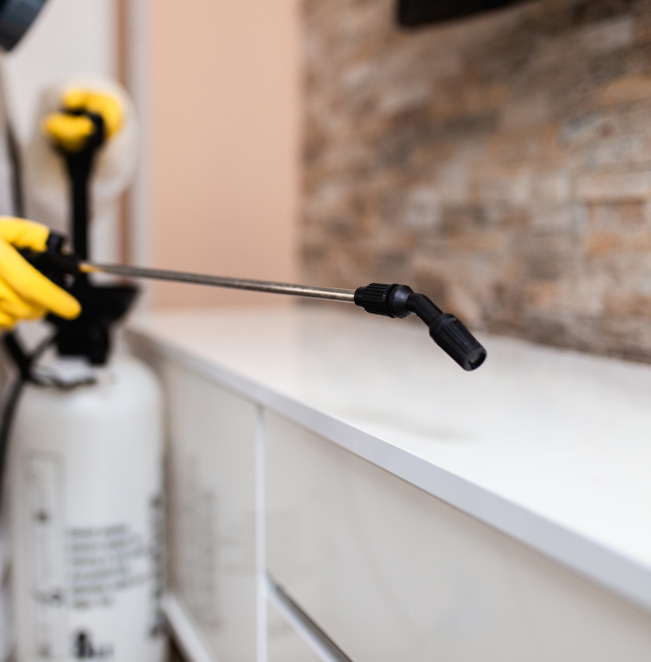 Pest Control - Fleas removal & control services