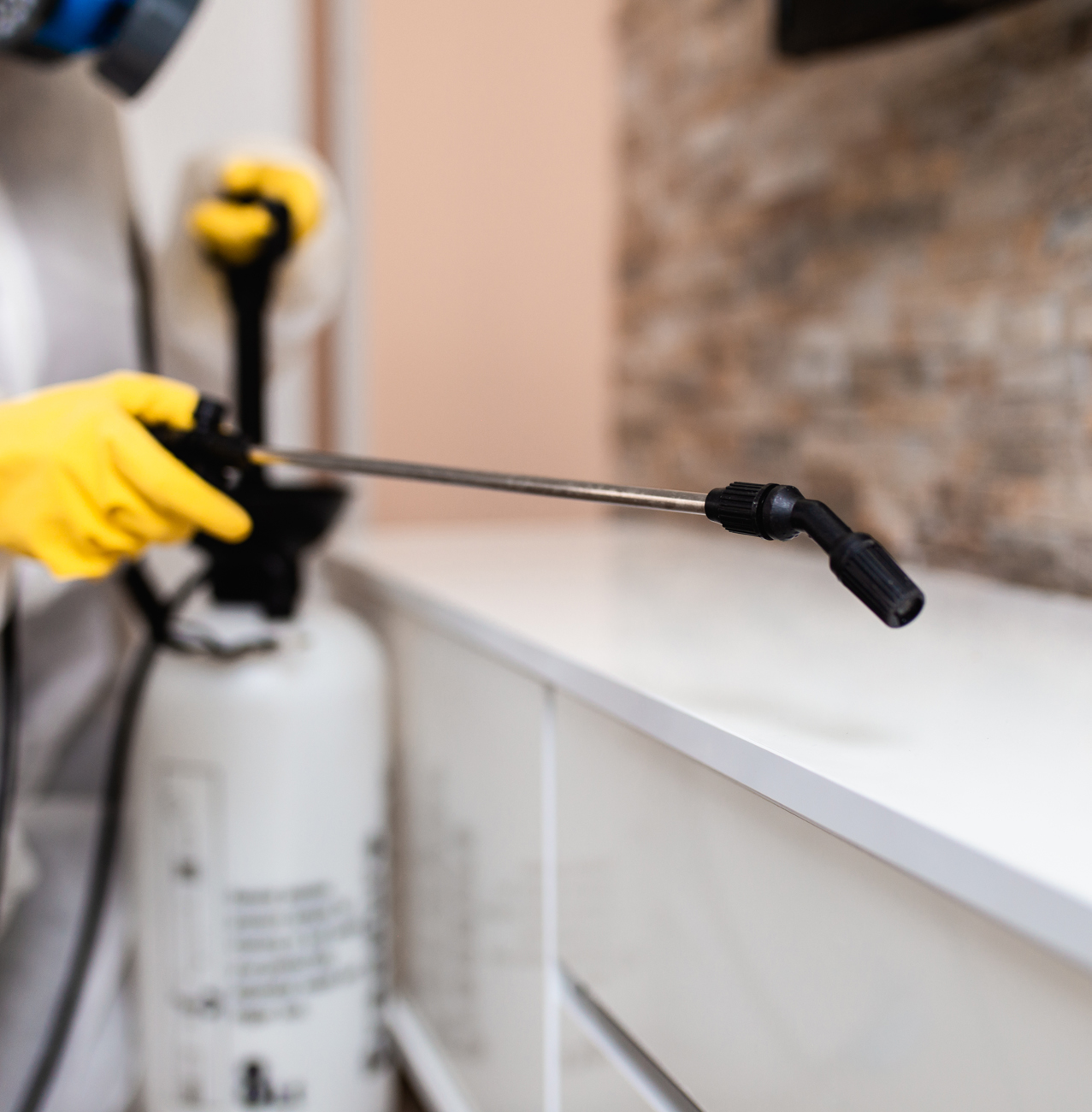 Pest Control - Ant removal & control services