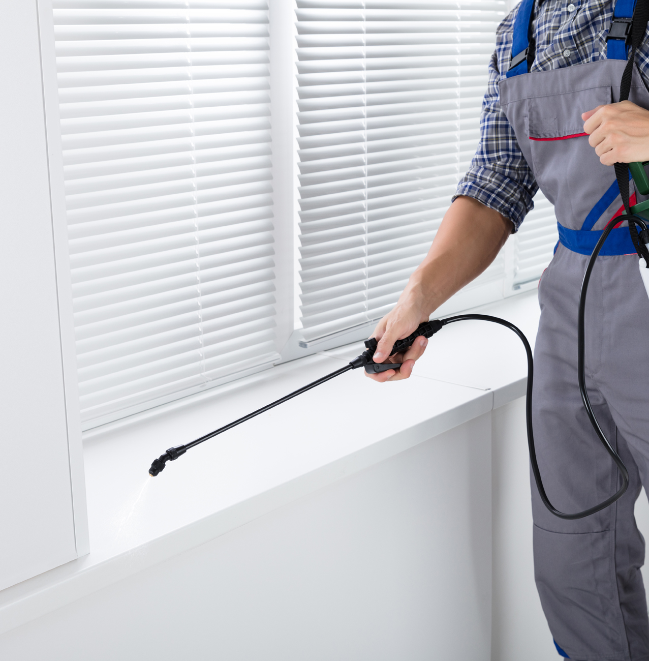 Pest Control - Flies removal & control services